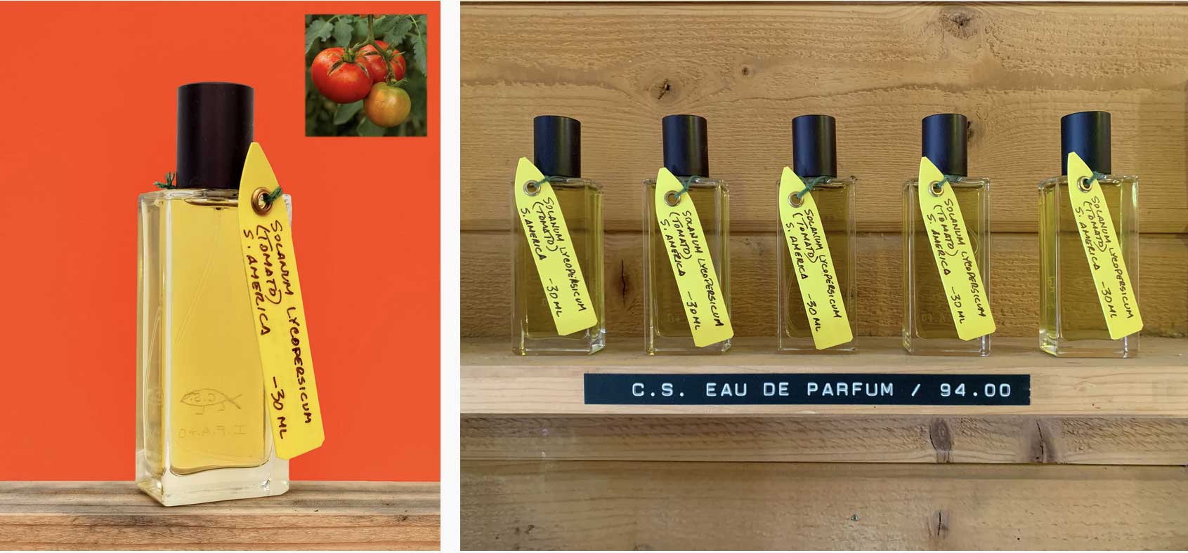 Cactus Store – The Institute for Art and Olfaction