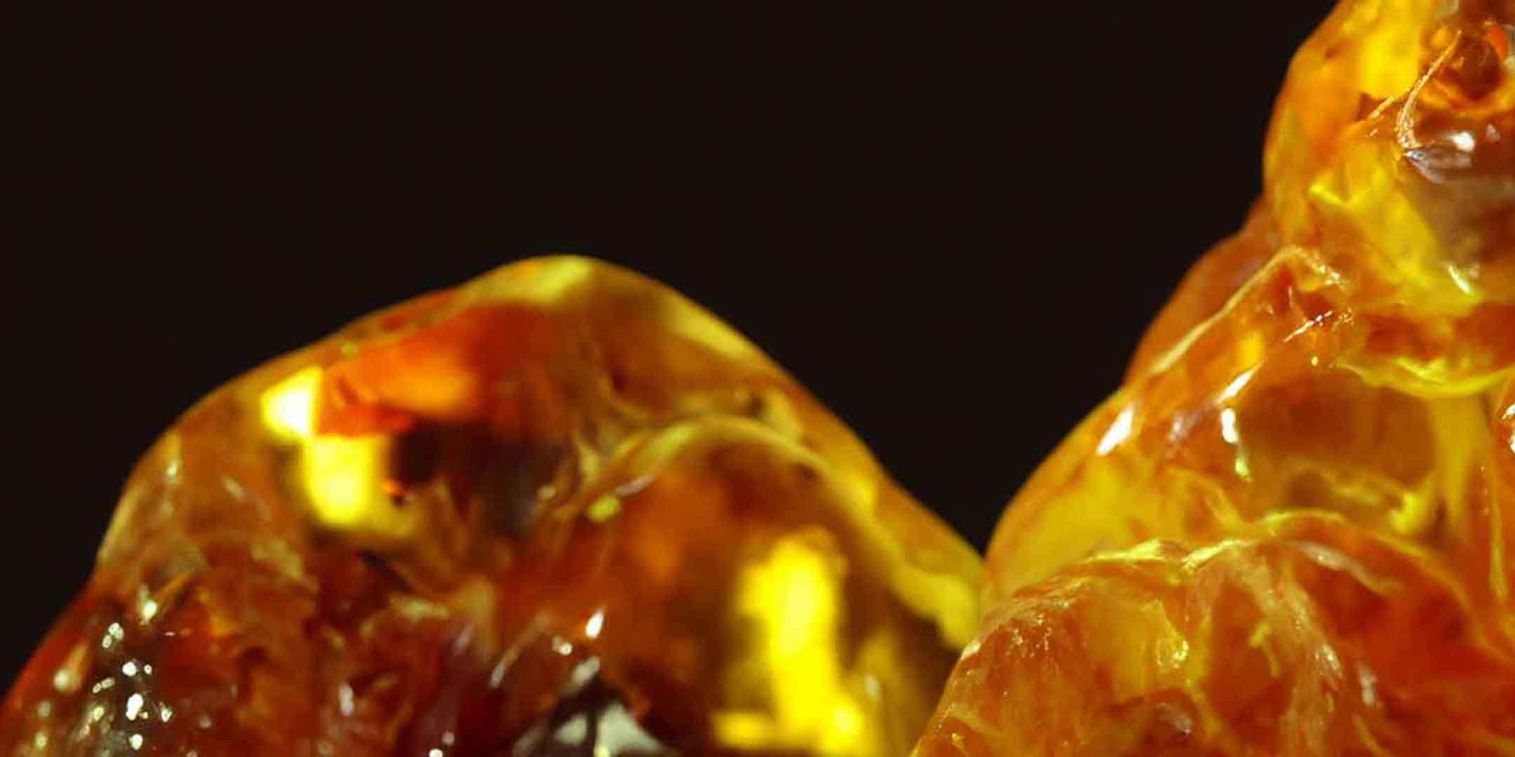 Tracing Perfume: Amber & Balsamic