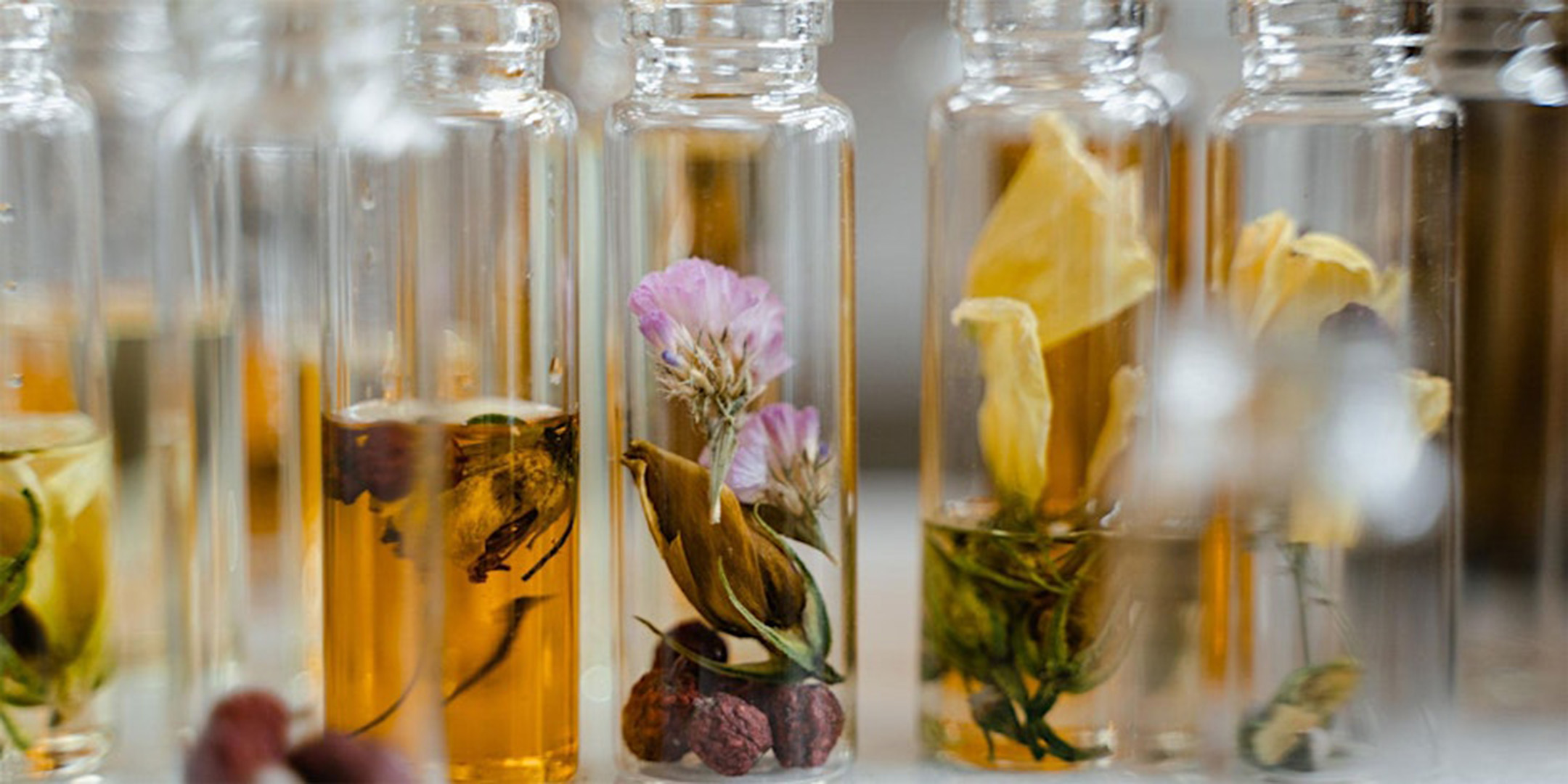 Tincturing for Perfumers