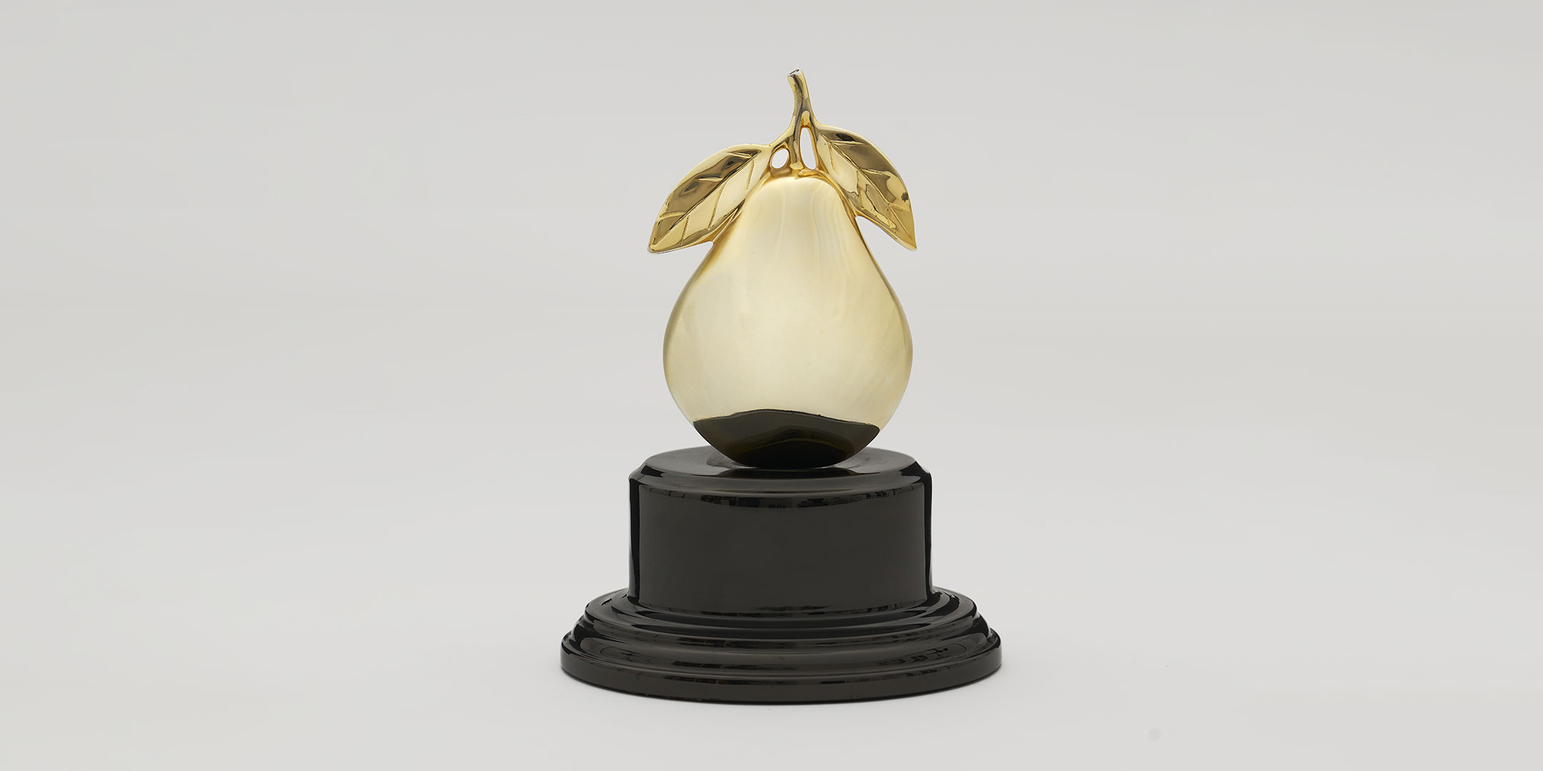 Finalist Announcement