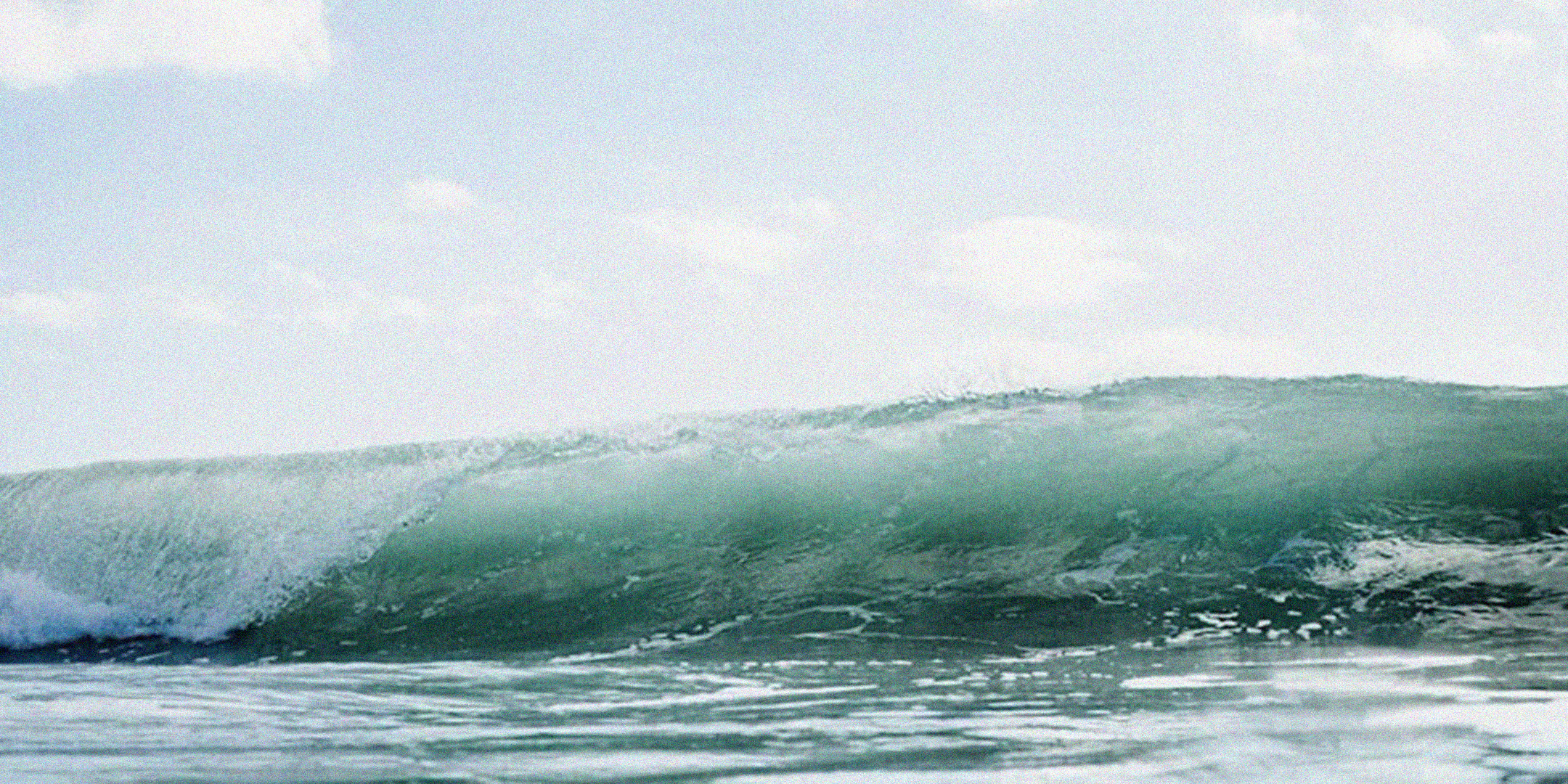 Tracing Perfume: Aquatic/Marine