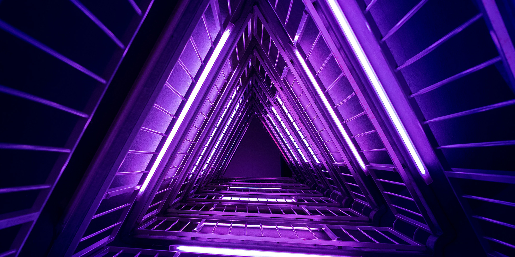 Purple Perfumes